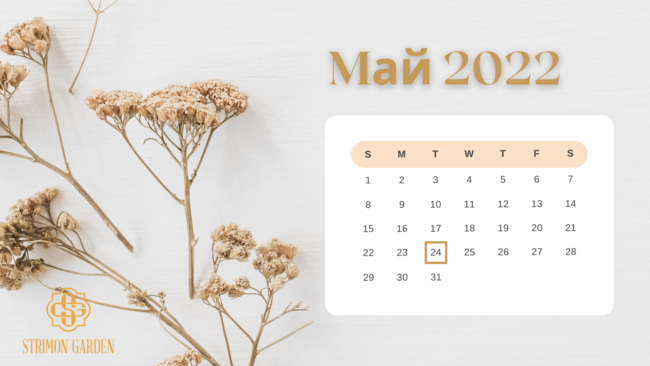 Beige Minimalist Calendar May 2022 Desktop Wallpaper